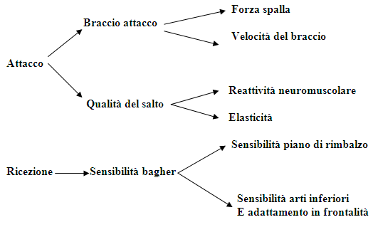 schema